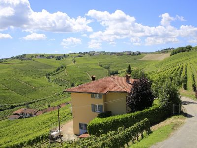 italy piedmon winding road into vineyards